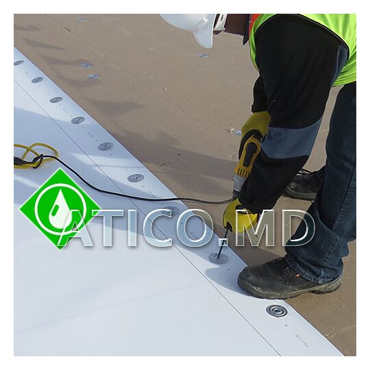 Saiba-rotunda-ll-540x540-for-pages-ATICO Saiba-rotunda-ll-540x540-for-pages-ATICO